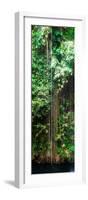 ¡Viva Mexico! Panoramic Collection - Hanging Roots of Ik-Kil Cenote VI-Philippe Hugonnard-Framed Photographic Print