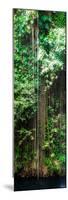 ¡Viva Mexico! Panoramic Collection - Hanging Roots of Ik-Kil Cenote VI-Philippe Hugonnard-Mounted Photographic Print
