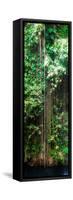 ¡Viva Mexico! Panoramic Collection - Hanging Roots of Ik-Kil Cenote VI-Philippe Hugonnard-Framed Stretched Canvas