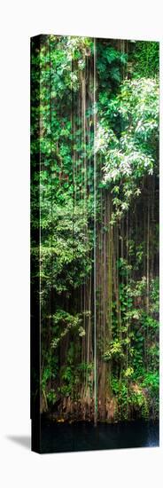 ¡Viva Mexico! Panoramic Collection - Hanging Roots of Ik-Kil Cenote VI-Philippe Hugonnard-Stretched Canvas