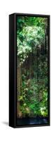 ¡Viva Mexico! Panoramic Collection - Hanging Roots of Ik-Kil Cenote VII-Philippe Hugonnard-Framed Stretched Canvas