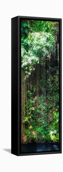 ¡Viva Mexico! Panoramic Collection - Hanging Roots of Ik-Kil Cenote VII-Philippe Hugonnard-Framed Stretched Canvas