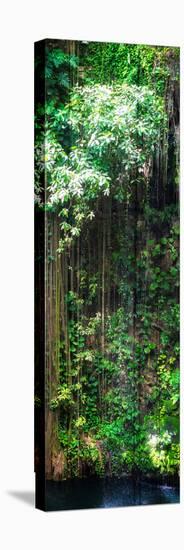 ¡Viva Mexico! Panoramic Collection - Hanging Roots of Ik-Kil Cenote VII-Philippe Hugonnard-Stretched Canvas