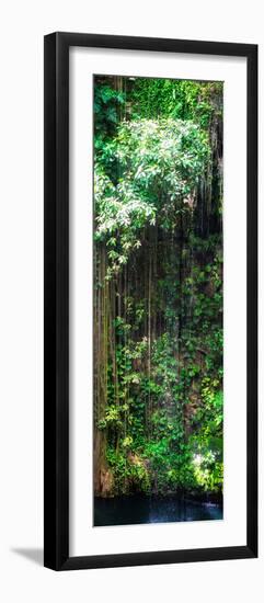 ¡Viva Mexico! Panoramic Collection - Hanging Roots of Ik-Kil Cenote VII-Philippe Hugonnard-Framed Photographic Print