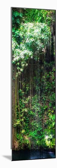 ¡Viva Mexico! Panoramic Collection - Hanging Roots of Ik-Kil Cenote VII-Philippe Hugonnard-Mounted Photographic Print