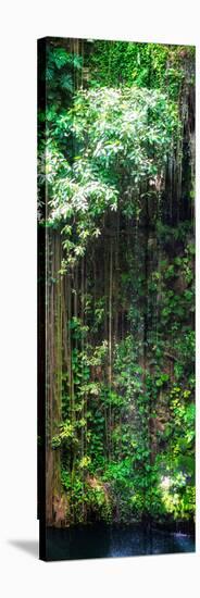 ¡Viva Mexico! Panoramic Collection - Hanging Roots of Ik-Kil Cenote VII-Philippe Hugonnard-Stretched Canvas