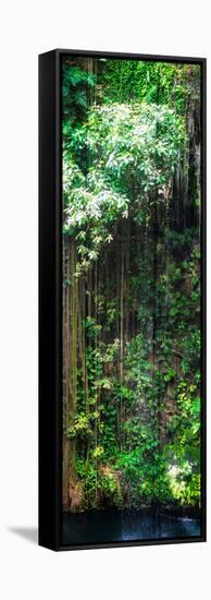 ¡Viva Mexico! Panoramic Collection - Hanging Roots of Ik-Kil Cenote VII-Philippe Hugonnard-Framed Stretched Canvas