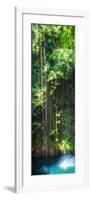 ¡Viva Mexico! Panoramic Collection - Hanging Roots of Ik-Kil Cenote-Philippe Hugonnard-Framed Photographic Print