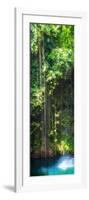 ¡Viva Mexico! Panoramic Collection - Hanging Roots of Ik-Kil Cenote-Philippe Hugonnard-Framed Photographic Print