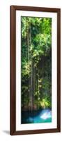 ¡Viva Mexico! Panoramic Collection - Hanging Roots of Ik-Kil Cenote-Philippe Hugonnard-Framed Photographic Print