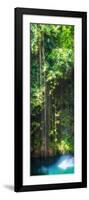 ¡Viva Mexico! Panoramic Collection - Hanging Roots of Ik-Kil Cenote-Philippe Hugonnard-Framed Photographic Print