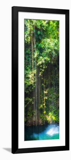 ¡Viva Mexico! Panoramic Collection - Hanging Roots of Ik-Kil Cenote-Philippe Hugonnard-Framed Photographic Print