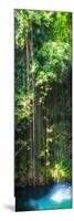 ¡Viva Mexico! Panoramic Collection - Hanging Roots of Ik-Kil Cenote-Philippe Hugonnard-Mounted Photographic Print