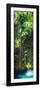 ¡Viva Mexico! Panoramic Collection - Hanging Roots of Ik-Kil Cenote-Philippe Hugonnard-Framed Photographic Print