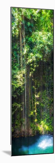 ¡Viva Mexico! Panoramic Collection - Hanging Roots of Ik-Kil Cenote-Philippe Hugonnard-Mounted Premium Photographic Print