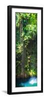 ¡Viva Mexico! Panoramic Collection - Hanging Roots of Ik-Kil Cenote-Philippe Hugonnard-Framed Photographic Print