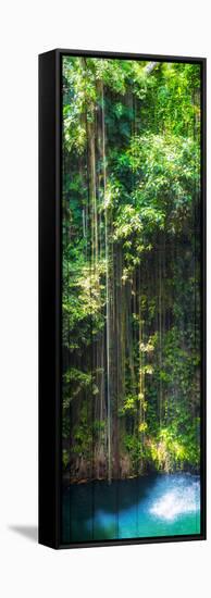 ¡Viva Mexico! Panoramic Collection - Hanging Roots of Ik-Kil Cenote-Philippe Hugonnard-Framed Stretched Canvas