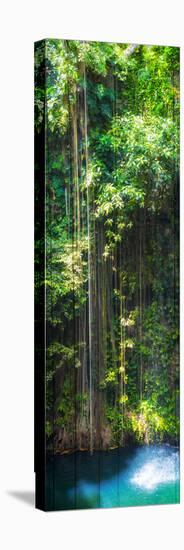 ¡Viva Mexico! Panoramic Collection - Hanging Roots of Ik-Kil Cenote-Philippe Hugonnard-Stretched Canvas