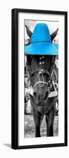 ¡Viva Mexico! Panoramic Collection - Horse with a Blue straw Hat-Philippe Hugonnard-Framed Premium Photographic Print