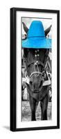 ¡Viva Mexico! Panoramic Collection - Horse with a Blue straw Hat-Philippe Hugonnard-Framed Photographic Print
