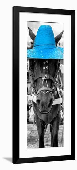 ¡Viva Mexico! Panoramic Collection - Horse with a Blue straw Hat-Philippe Hugonnard-Framed Photographic Print
