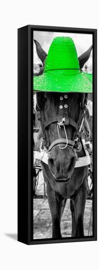 ¡Viva Mexico! Panoramic Collection - Horse with a Green straw Hat-Philippe Hugonnard-Framed Stretched Canvas