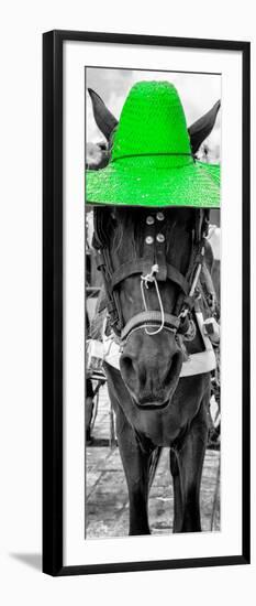 ¡Viva Mexico! Panoramic Collection - Horse with a Green straw Hat-Philippe Hugonnard-Framed Premium Photographic Print