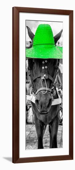 ¡Viva Mexico! Panoramic Collection - Horse with a Green straw Hat-Philippe Hugonnard-Framed Photographic Print