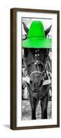 ¡Viva Mexico! Panoramic Collection - Horse with a Green straw Hat-Philippe Hugonnard-Framed Photographic Print