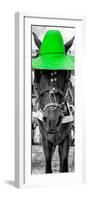 ¡Viva Mexico! Panoramic Collection - Horse with a Green straw Hat-Philippe Hugonnard-Framed Photographic Print