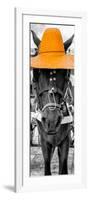¡Viva Mexico! Panoramic Collection - Horse with a Light Orange straw Hat-Philippe Hugonnard-Framed Photographic Print