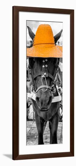 ¡Viva Mexico! Panoramic Collection - Horse with a Light Orange straw Hat-Philippe Hugonnard-Framed Photographic Print