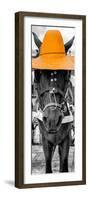 ¡Viva Mexico! Panoramic Collection - Horse with a Light Orange straw Hat-Philippe Hugonnard-Framed Photographic Print