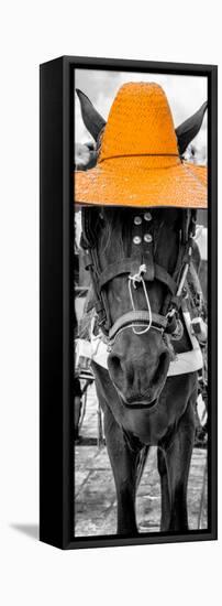 ¡Viva Mexico! Panoramic Collection - Horse with a Light Orange straw Hat-Philippe Hugonnard-Framed Stretched Canvas