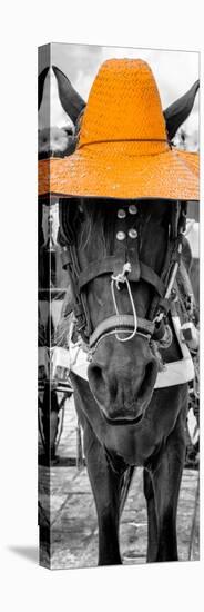 ¡Viva Mexico! Panoramic Collection - Horse with a Light Orange straw Hat-Philippe Hugonnard-Stretched Canvas