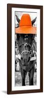 ¡Viva Mexico! Panoramic Collection - Horse with a Orange straw Hat-Philippe Hugonnard-Framed Photographic Print