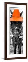 ¡Viva Mexico! Panoramic Collection - Horse with a Orange straw Hat-Philippe Hugonnard-Framed Photographic Print