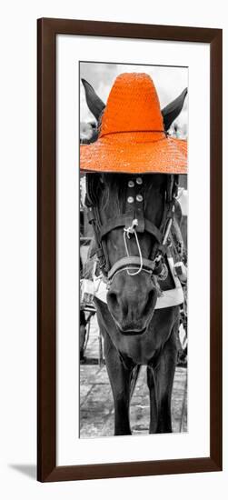 ¡Viva Mexico! Panoramic Collection - Horse with a Orange straw Hat-Philippe Hugonnard-Framed Photographic Print