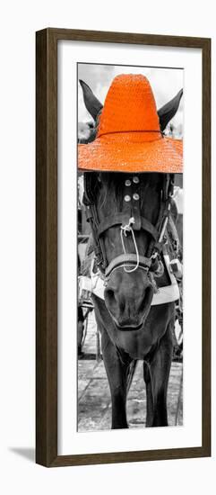 ¡Viva Mexico! Panoramic Collection - Horse with a Orange straw Hat-Philippe Hugonnard-Framed Photographic Print