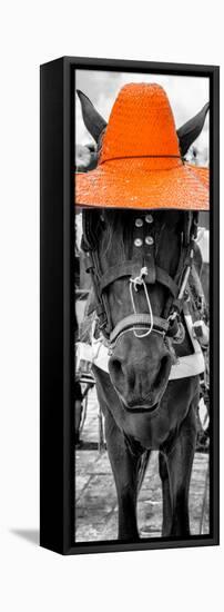 ¡Viva Mexico! Panoramic Collection - Horse with a Orange straw Hat-Philippe Hugonnard-Framed Stretched Canvas
