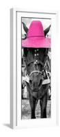 ¡Viva Mexico! Panoramic Collection - Horse with a Pink straw Hat-Philippe Hugonnard-Framed Photographic Print