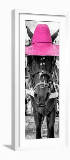 ¡Viva Mexico! Panoramic Collection - Horse with a Pink straw Hat-Philippe Hugonnard-Framed Photographic Print