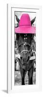 ¡Viva Mexico! Panoramic Collection - Horse with a Pink straw Hat-Philippe Hugonnard-Framed Photographic Print