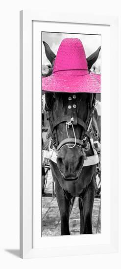 ¡Viva Mexico! Panoramic Collection - Horse with a Pink straw Hat-Philippe Hugonnard-Framed Photographic Print