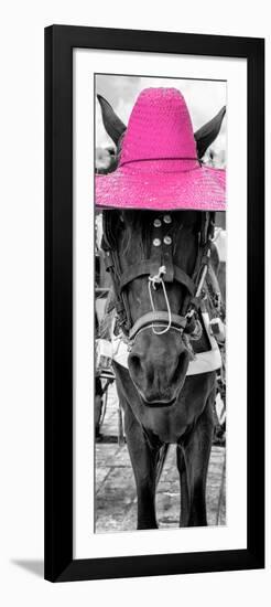 ¡Viva Mexico! Panoramic Collection - Horse with a Pink straw Hat-Philippe Hugonnard-Framed Photographic Print