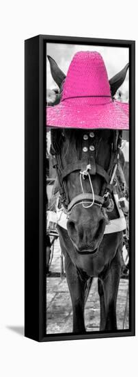 ¡Viva Mexico! Panoramic Collection - Horse with a Pink straw Hat-Philippe Hugonnard-Framed Stretched Canvas