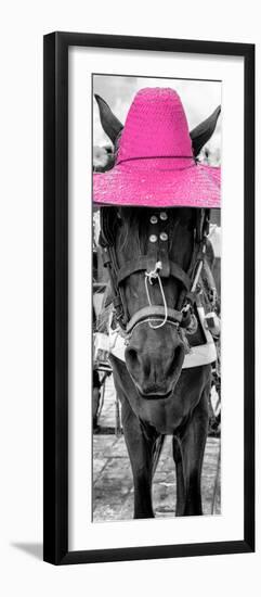 ¡Viva Mexico! Panoramic Collection - Horse with a Pink straw Hat-Philippe Hugonnard-Framed Premium Photographic Print