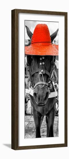 ¡Viva Mexico! Panoramic Collection - Horse with a Red straw Hat-Philippe Hugonnard-Framed Photographic Print