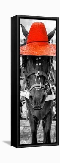 ¡Viva Mexico! Panoramic Collection - Horse with a Red straw Hat-Philippe Hugonnard-Framed Stretched Canvas