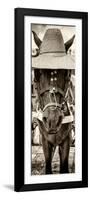 ¡Viva Mexico! Panoramic Collection - Horse with a straw Hat-Philippe Hugonnard-Framed Photographic Print